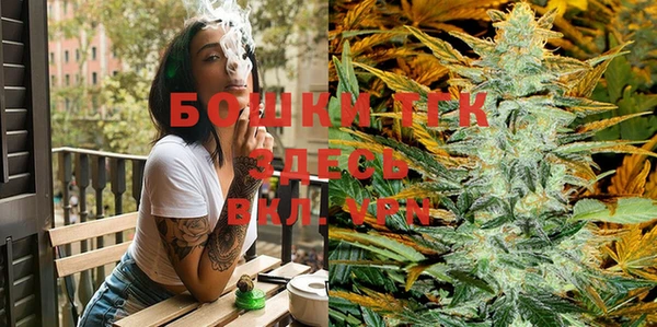 PSILOCYBIN Мещовск