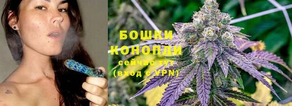 PSILOCYBIN Мещовск