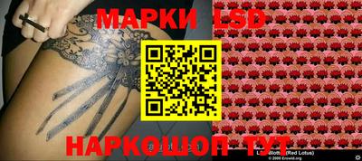 spice Балахна