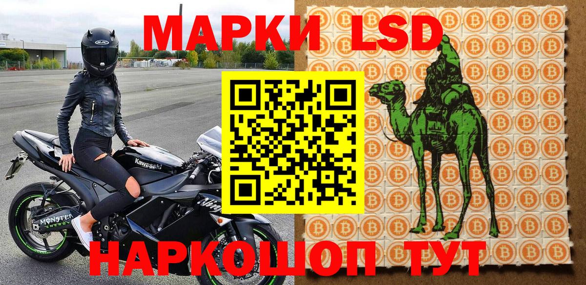 Наркотические марки 1,5мг  Наркотические марки 1,5мг  Рузаевка  Вход с VPN 