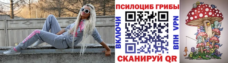Псилоцибиновые грибы Psilocybe  Рузаевка 