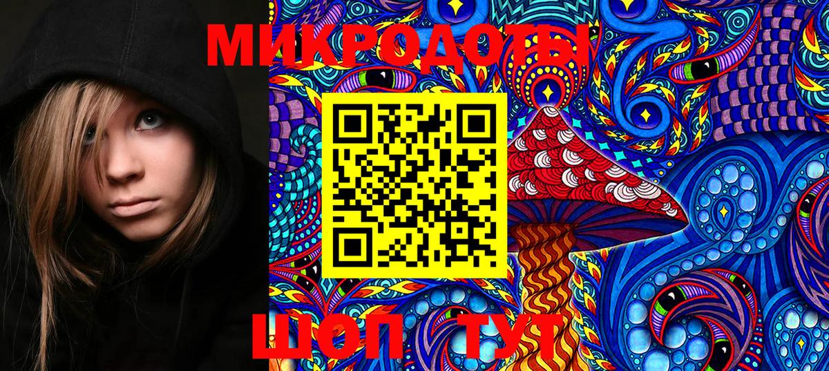 Псилоцибиновые грибы Psilocybe  Рузаевка 