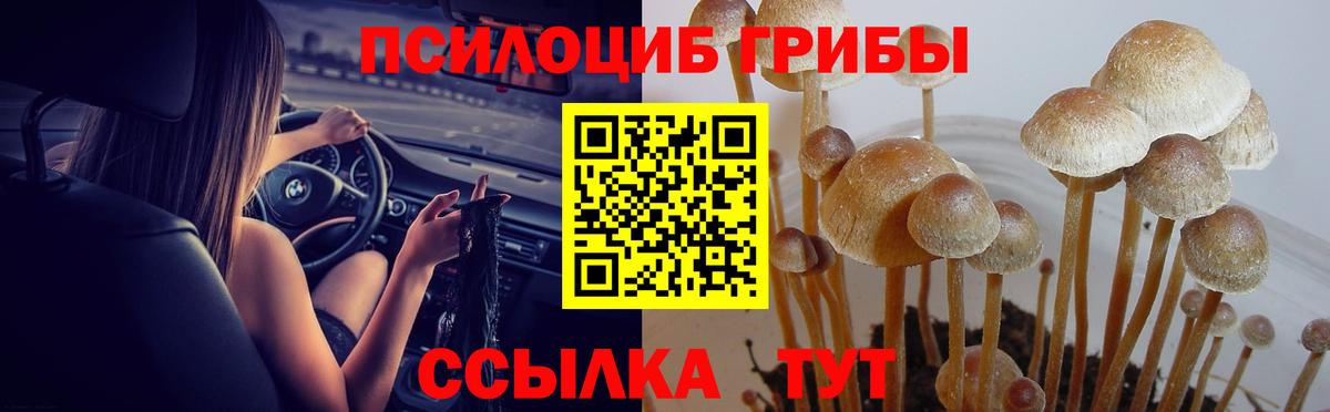 Галлюциногенные грибы мицелий Рузаевка